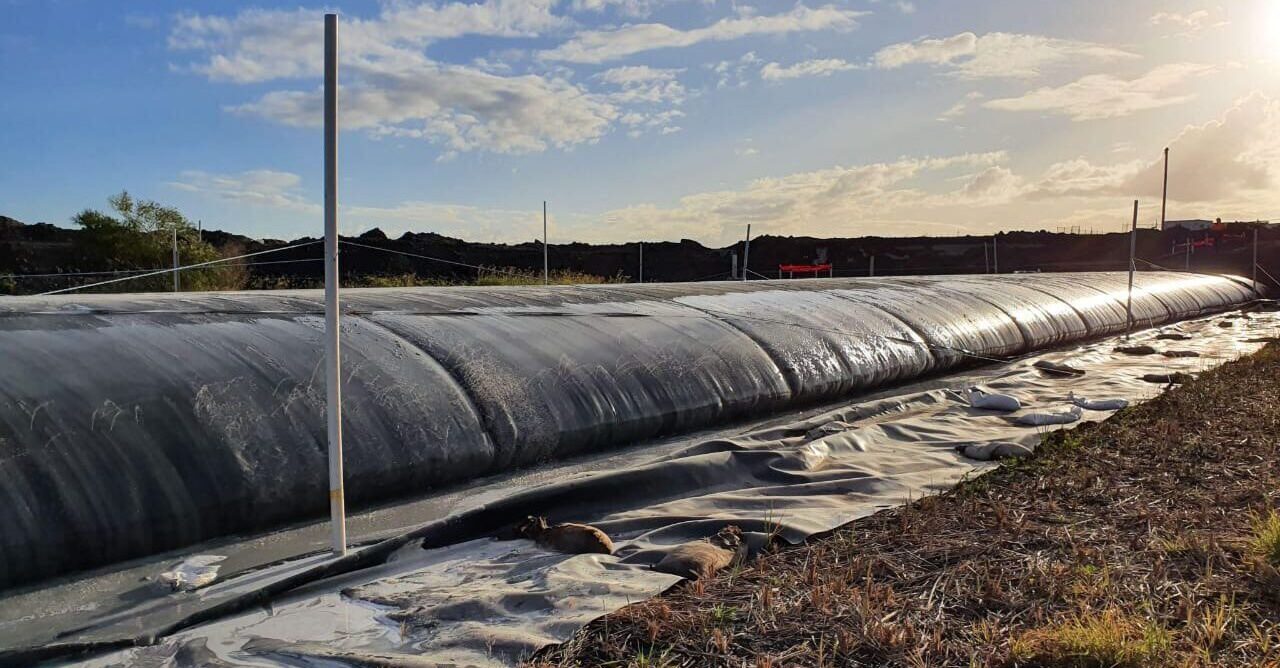 photo 2025 12 12 16 27 26